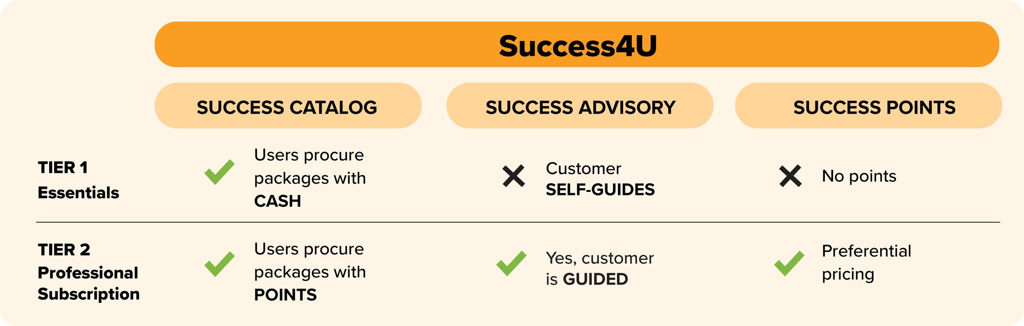 Success4U samenvattende afbeelding