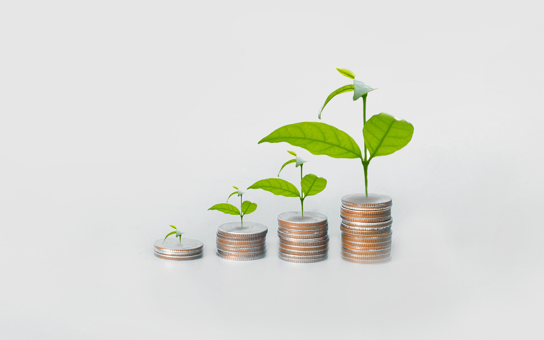 plants growing out of coins 