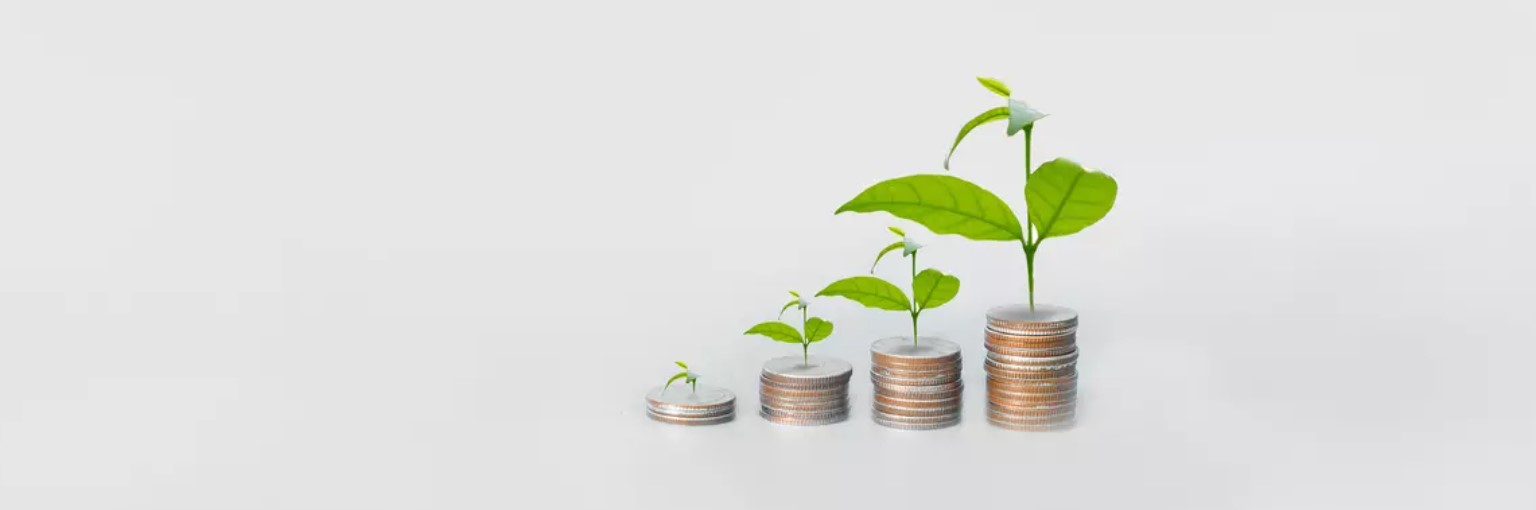 När jag skriver är det tufft att bli vuxen, handlar det inte om utmaningarna med att vara tonåring, Det handlar om att gå från att vara en start-up till att bli en scale-up.