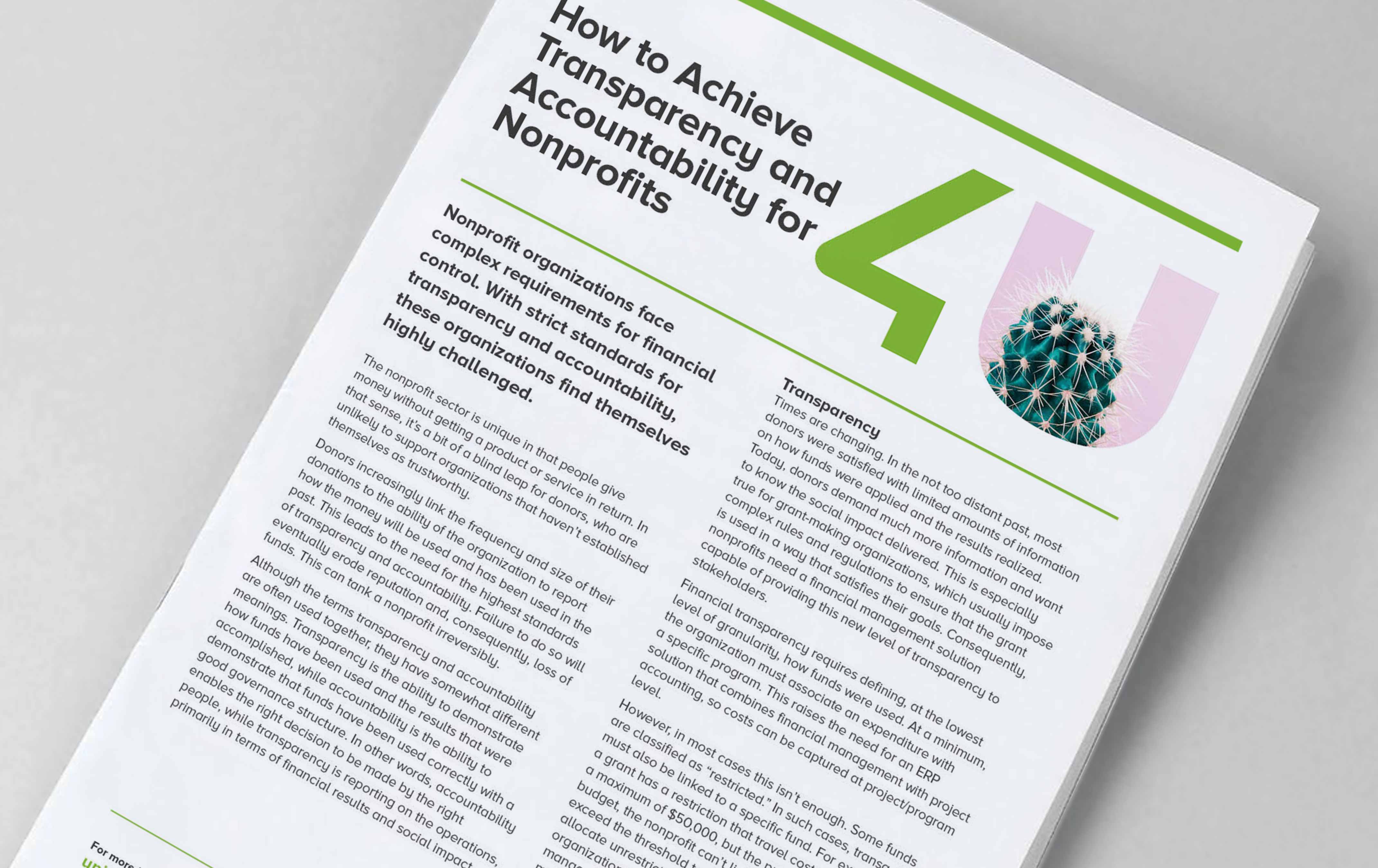 cover image for Industry Focus: Nonprofit – Transparency and Accountability