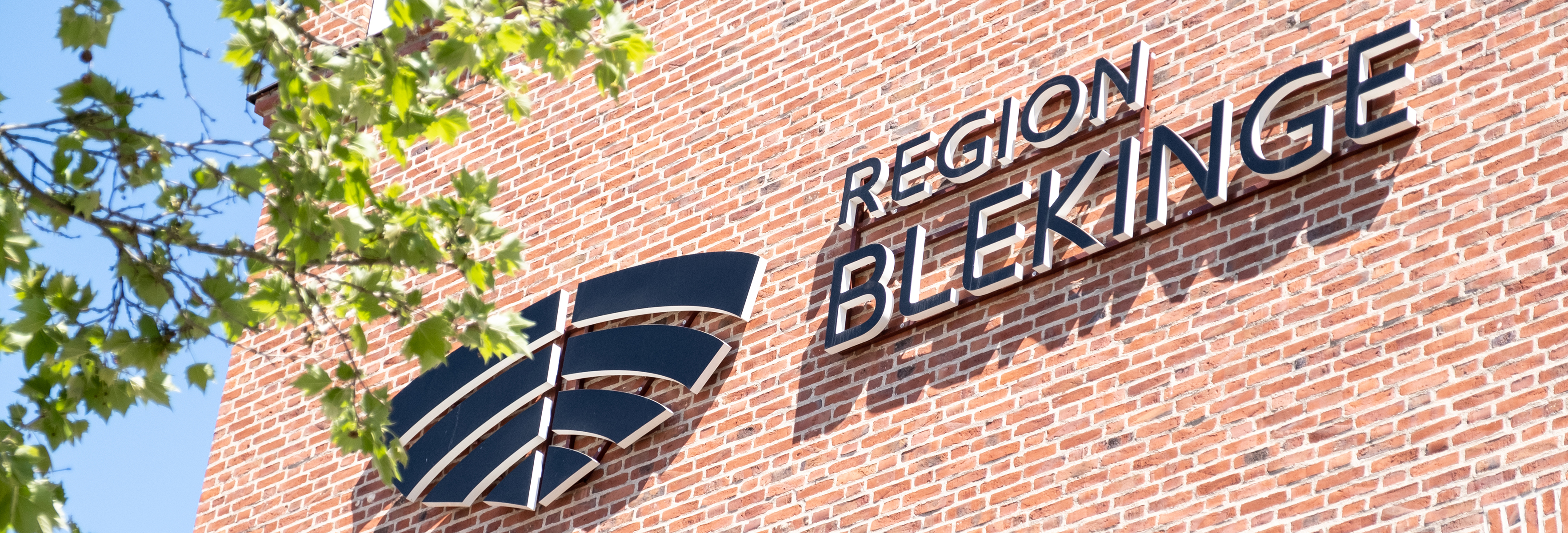 Logo Region Blekinge