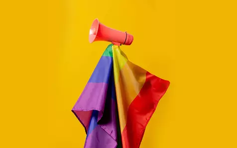 Pride Unit4 2021 flags