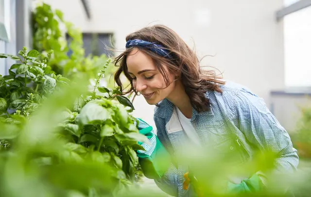 Click here to watch our on-demand webinar