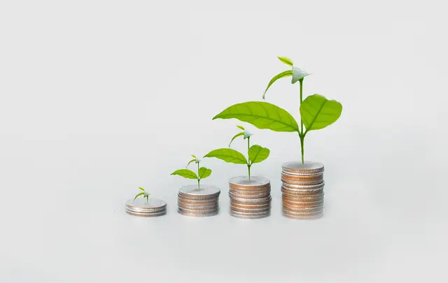 plants growing out of coins 