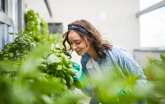 woman smelling flowers