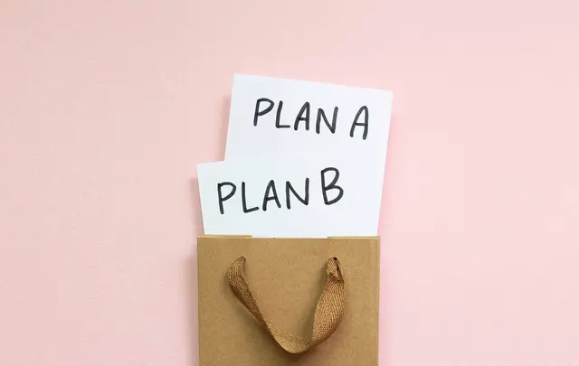 public sector service delivery