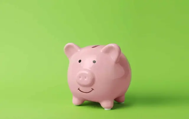 a pink piggy bank with a green background. The piggy bank has a smile on its face