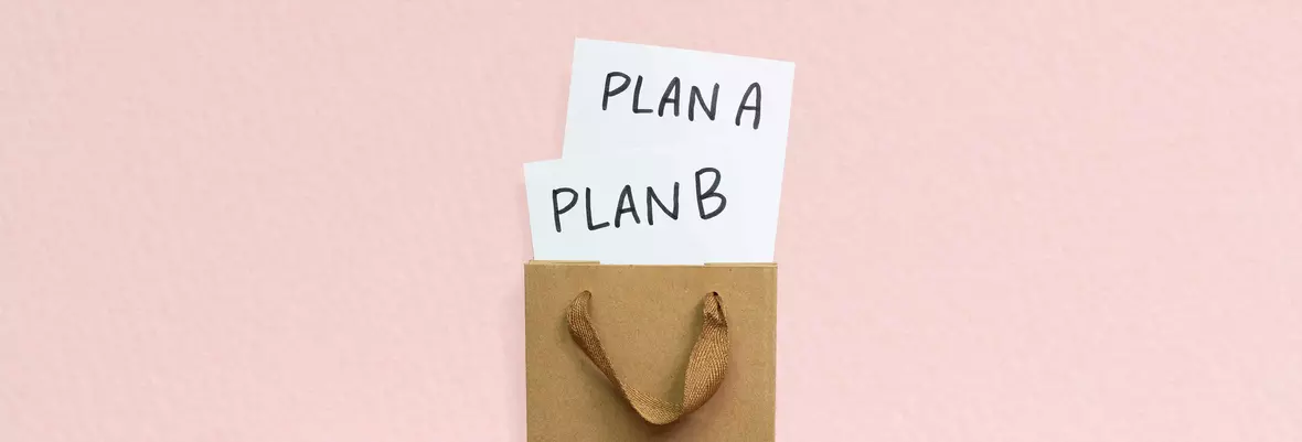 public sector service delivery