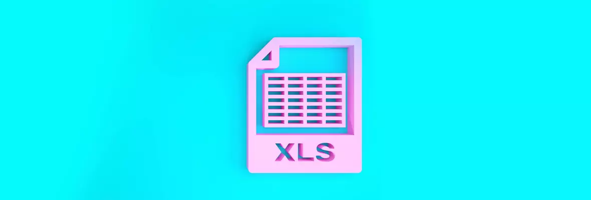 xls file