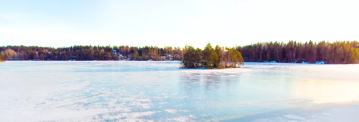 Offentlig sektor i framkant
