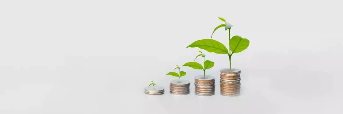 När jag skriver är det tufft att bli vuxen, handlar det inte om utmaningarna med att vara tonåring, Det handlar om att gå från att vara en start-up till att bli en scale-up.