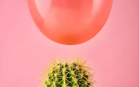 cactus, pink baloon