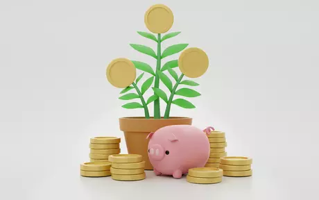 piggy bank with money and flowers
