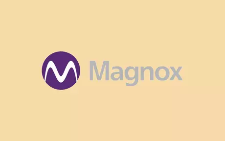 Magnox business logo