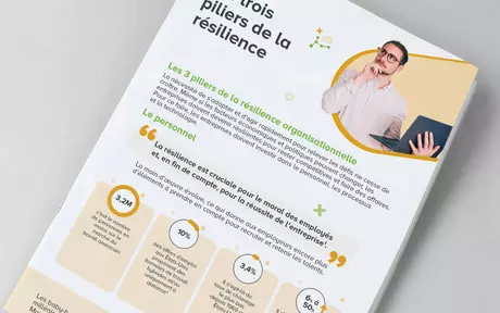 Image de couverture de l’infographie « Les trois piliers de la résilience »