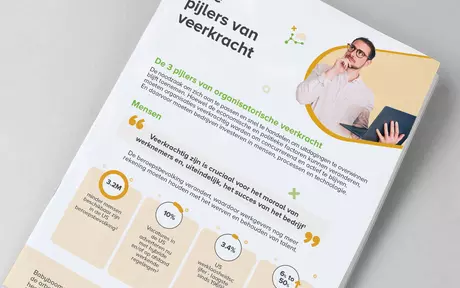 Coverafbeelding voor infographic 'Drie pijlers van veerkracht'.
