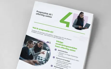 Ladda ner vår informationsgrafik: ”Pragmatisk AI för offentlig sektor”
